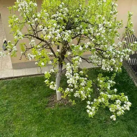 Dvokrevetni-dvije Osobe Apartman Szarajevó