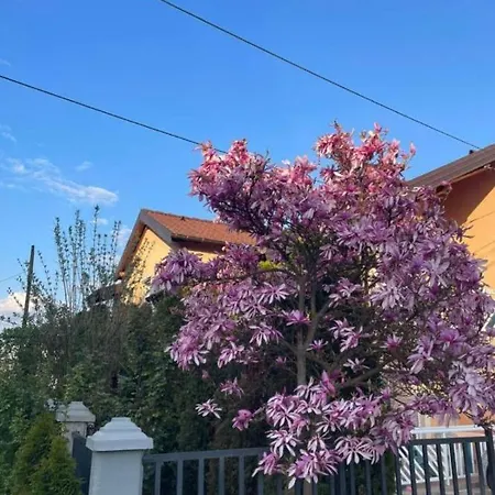 Dvokrevetni-dvije Osobe