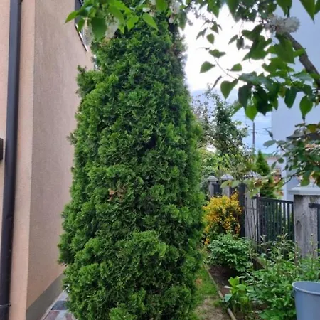 Apartman Dvokrevetni-dvije Osobe Szarajevó